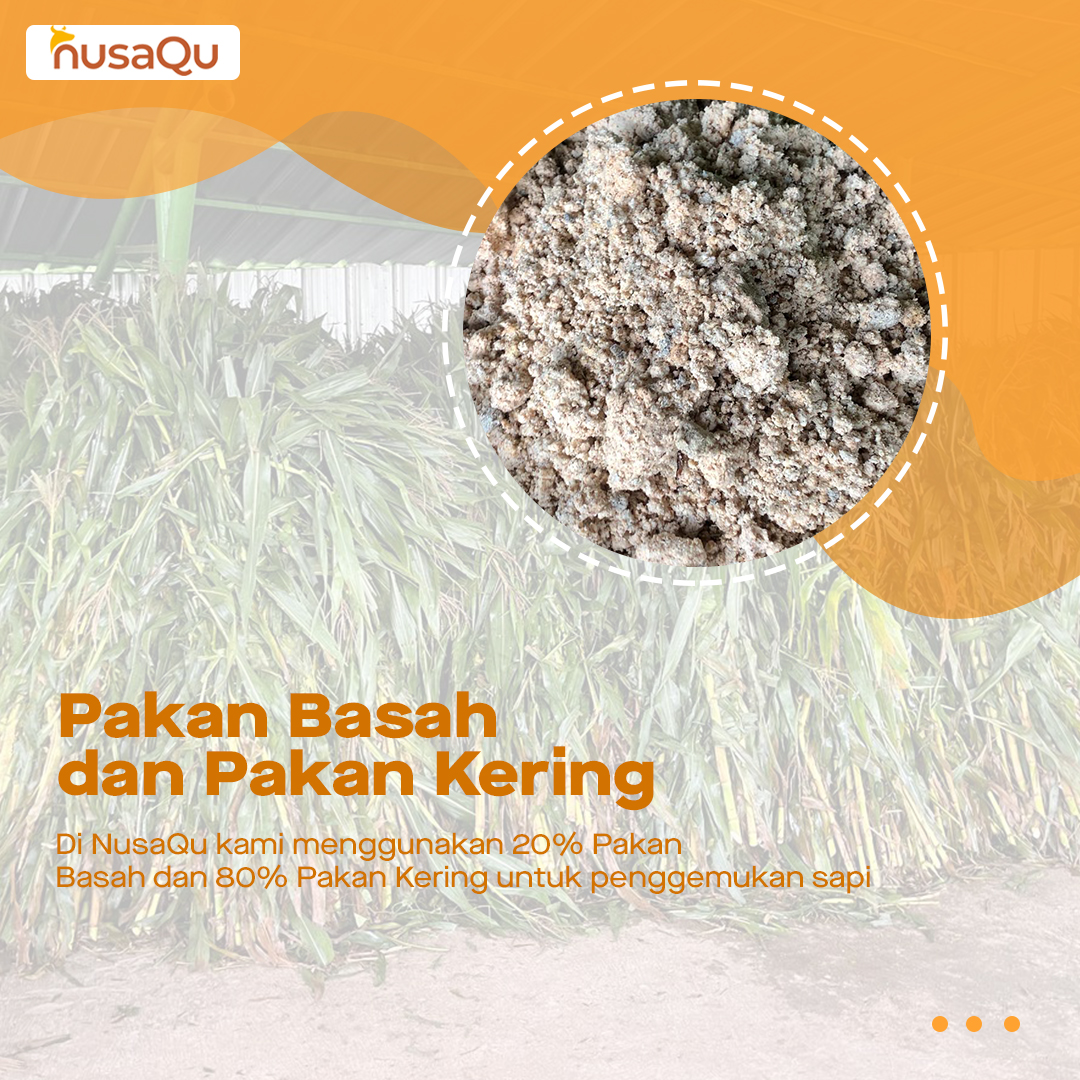 Gambar Artikel