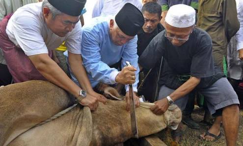 Gambar Artikel
